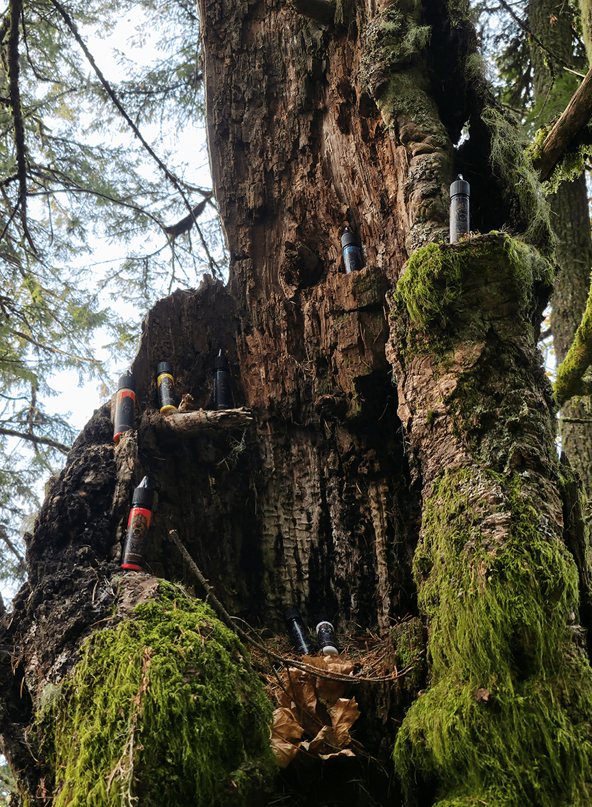 Color cartridge - Bear Cavalry Paints