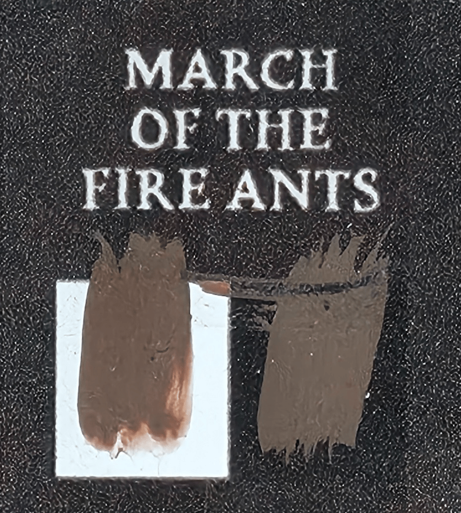 20 mL paint bottle - Bear Cavalry Paints