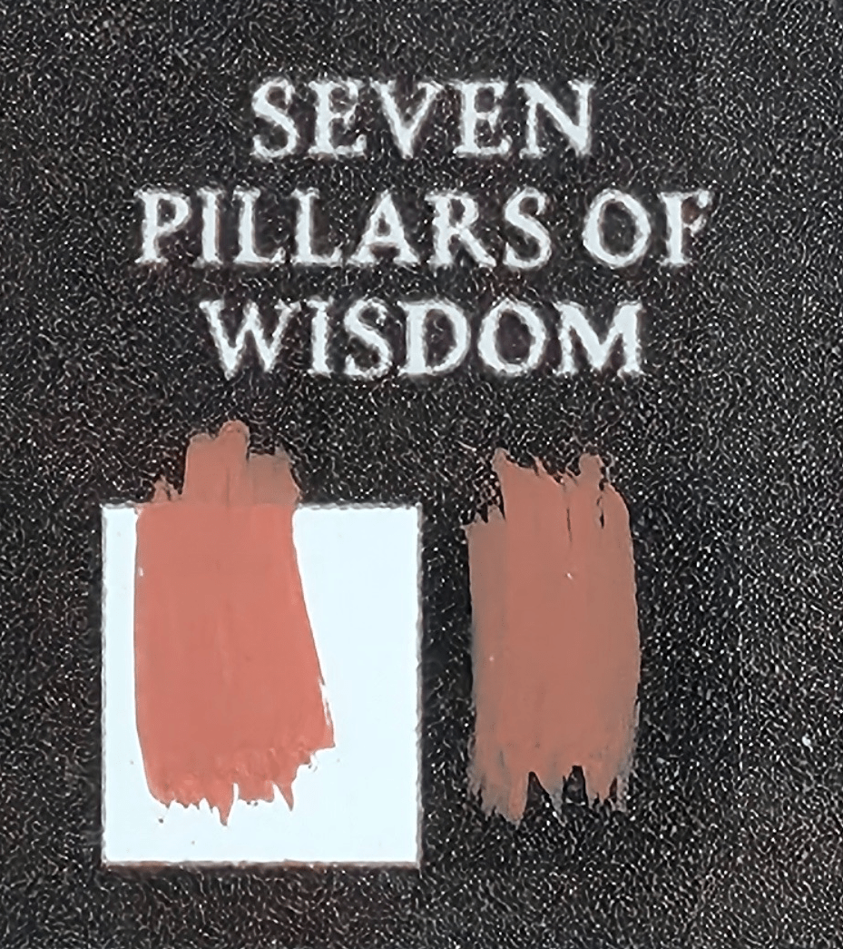 20 mL paint bottle - Bear Cavalry Paints