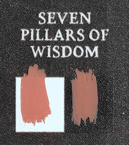 20 mL paint bottle - Bear Cavalry Paints