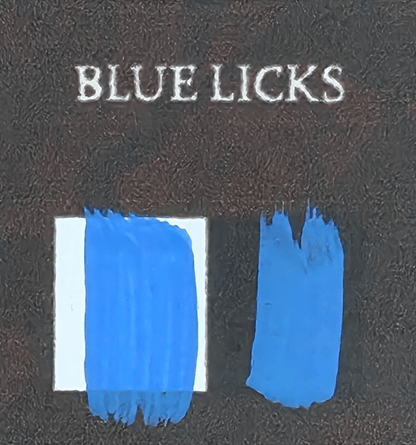 20 mL paint bottle - Bear Cavalry Paints