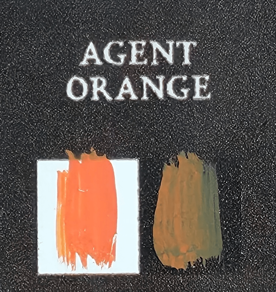 20 mL paint bottle - Bear Cavalry Paints