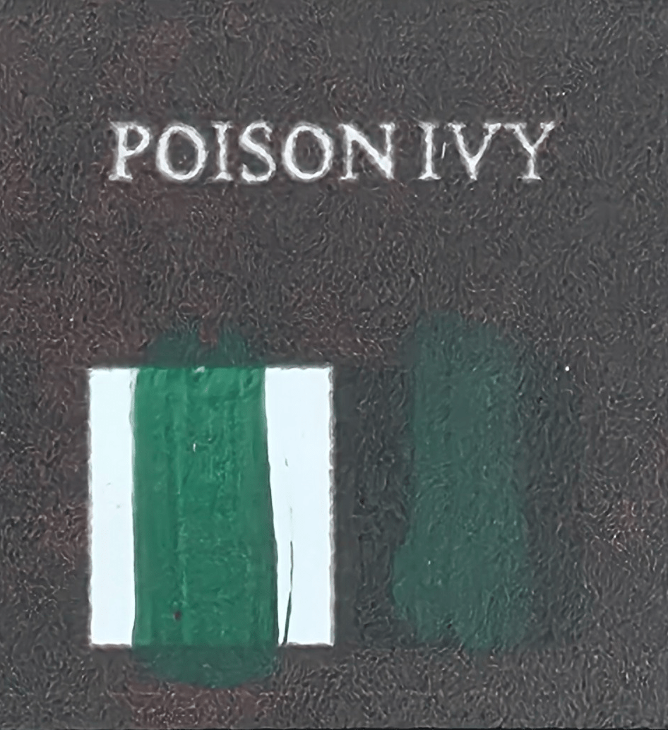 20 mL paint bottle - Bear Cavalry Paints