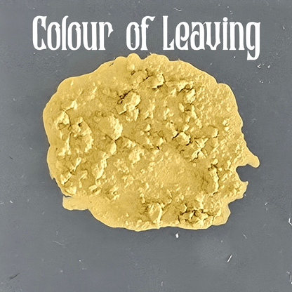 Mud texture paint - Bear Cavalry Paints